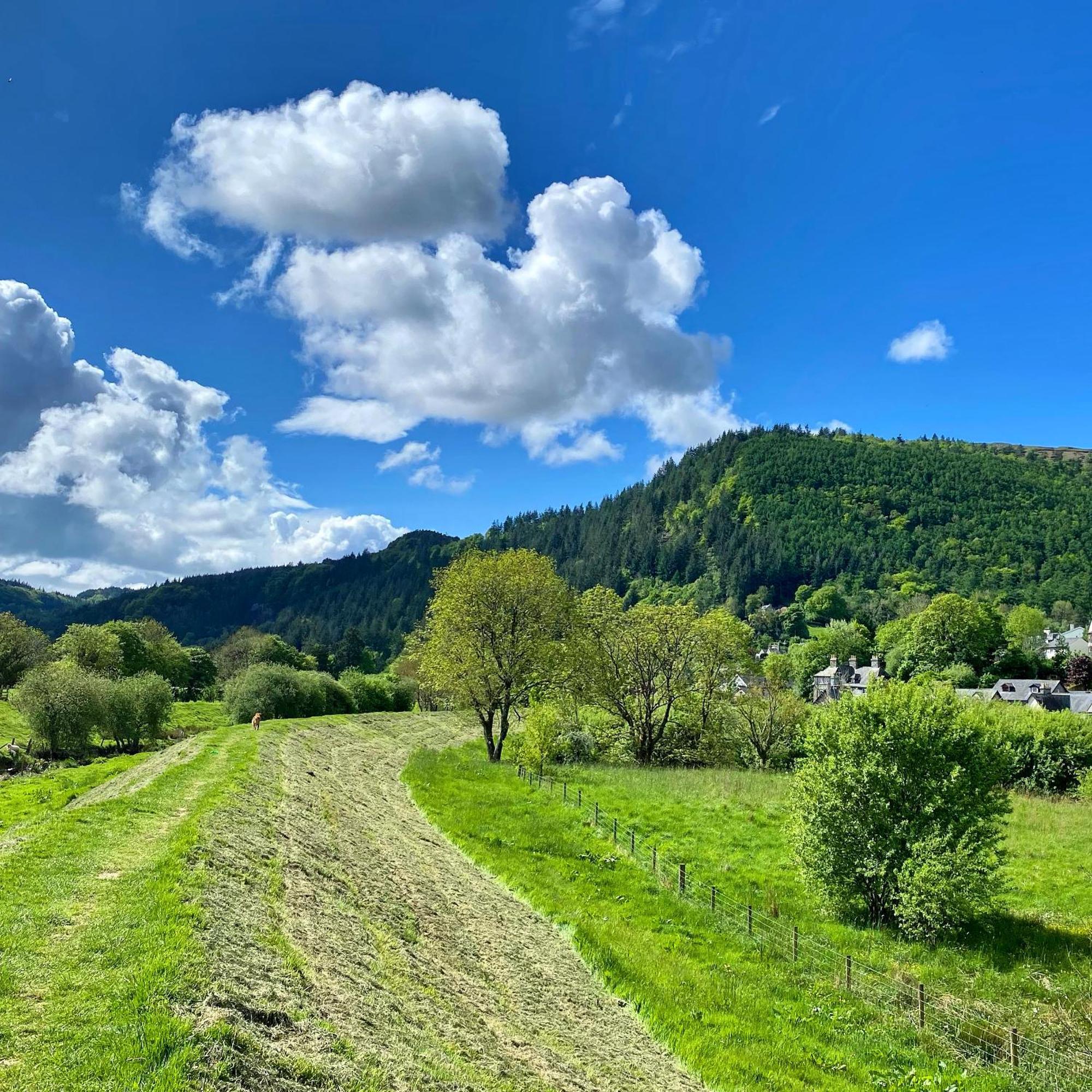 Crafnant House - Bed & Breakfast Trefriw エクステリア 写真